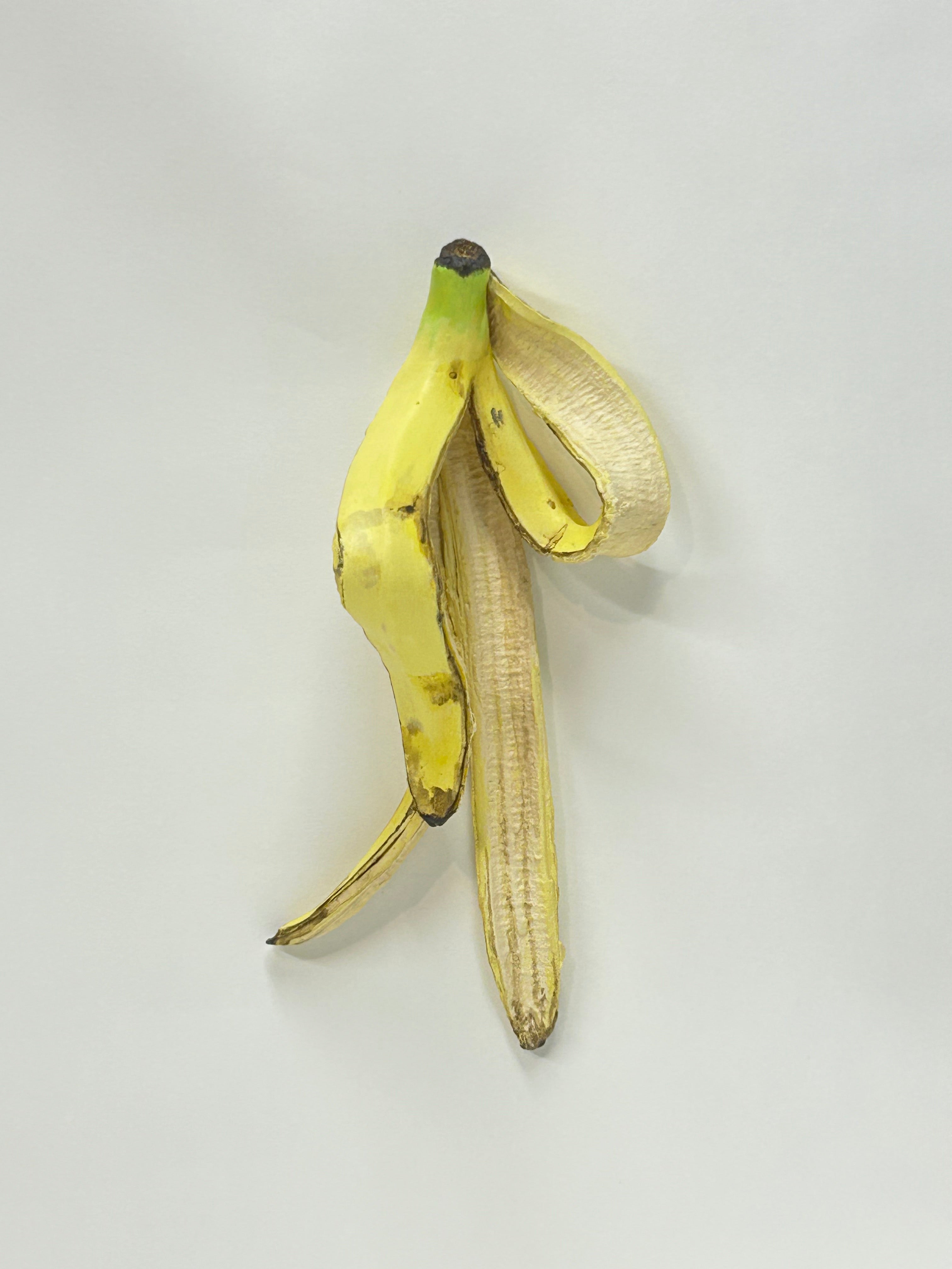 BANANA様 Banana Model/Koji Kasaya