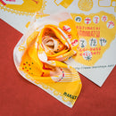 日本全国 包装紙風呂敷コレクション