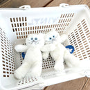 White cat stuffed toy/umao