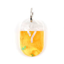 Acryl Tag Plate / Y / 52 / NEWSED