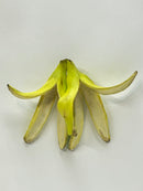 Banana girls 2 / 笠谷耕二