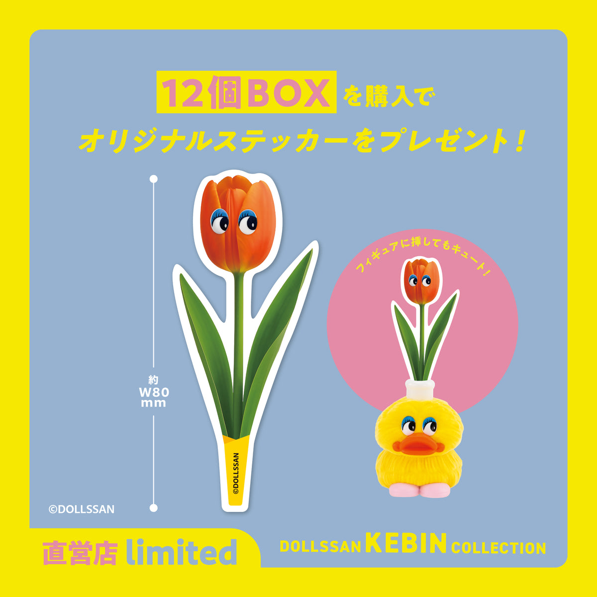DOLLSSAN KEBIN コレクション 12個BOX