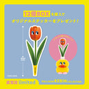 DOLLSSAN KEBIN コレクション 12個BOX