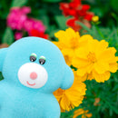 むにゅのふわふわフロッキーコレクション NEW COLOR Ver.