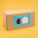 MY GHOST HEDGEHOG / standard / umao