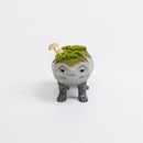 【抽選終了】【One off】虎子石 "きのこ" / 中空工房（彩色：6 28）