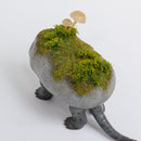 【抽選終了】【One off】虎子石 "きのこ" / 中空工房（彩色：6 28）