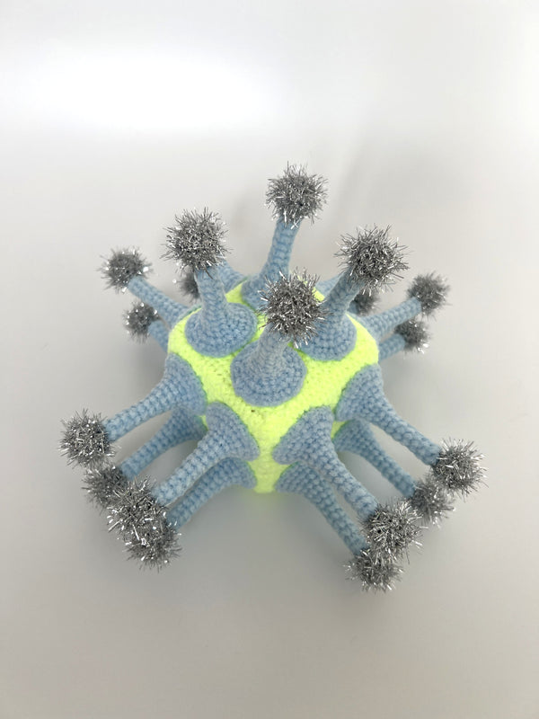 “ phytoplankton_b”/tomoko konae