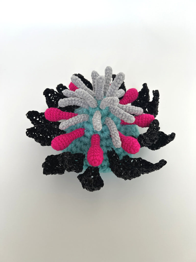 “塑料plankton_b”/tomoko konae