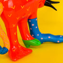 키위/아카오니/ANZ