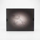 My Little Bunny  / とろろ園