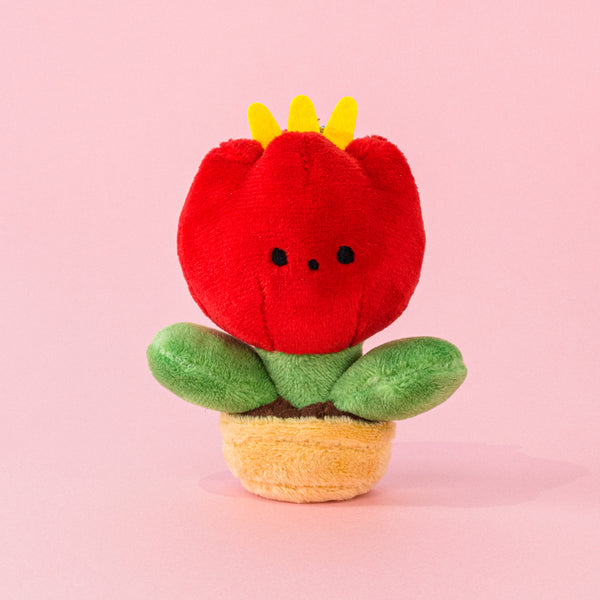 VI0494K-05_600x600_crop_center