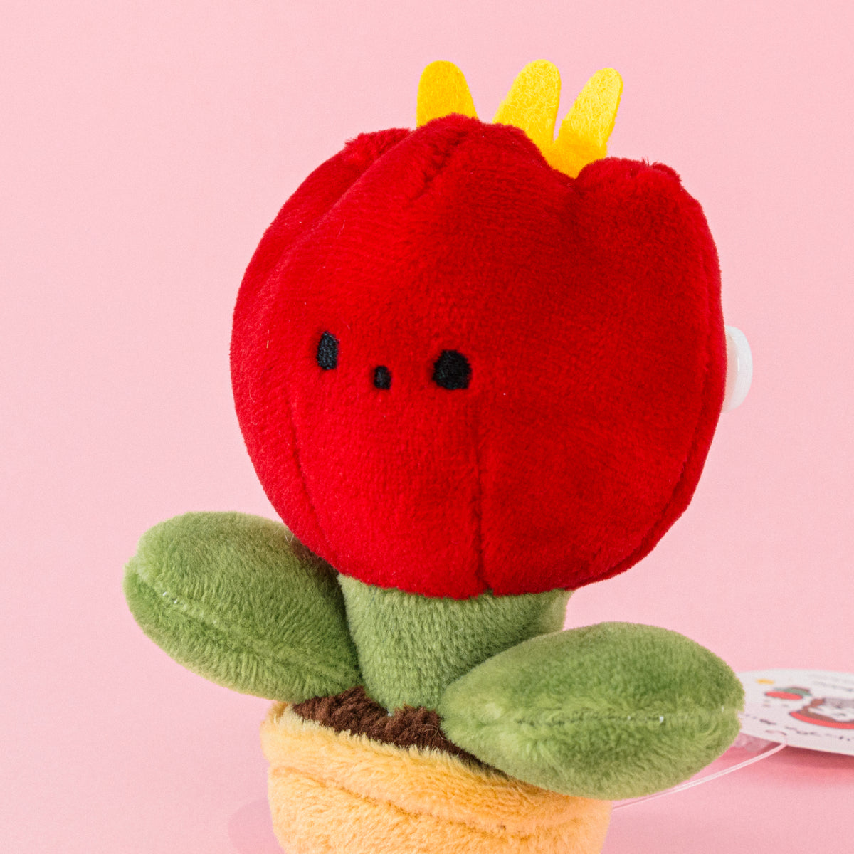 VI0494K-08_1200x.jpg?v=1742989428