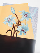 11/26 AM10:00(JST)-販売開始 A4クリアファイル（カラー） / 谷小夏