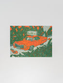 GREENDAYS スペシャルパック / オザキエミ