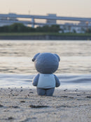 池尾路的夏天/小奥斯蒙德/beco+81