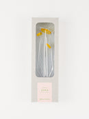 ZOKA / CLOUD FLOWER / 31 / NEWSED