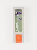 ZOKA / CLOUD FLOWER / 32 / NEWSED