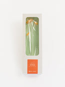 ZOKA / CLOUD FLOWER / 04 / NEWSED