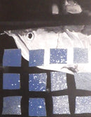 dragon fish / Hiroyuki Higuchi