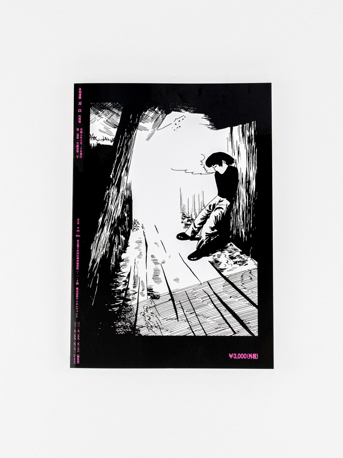 ALTERNATIVE COMIC SALON Vol.2 『月刊漫画ガロ』林静一のよこがお