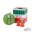 プレミアムフルーツ ミニチュアコレクション 第2弾