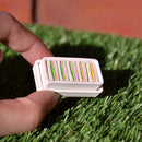 昭和ノスタルジックシリーズ 遠足の想い出