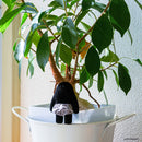 おぱんつ君 フィギュアコレクション