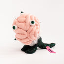 「脳肥大」 / Peloqoon