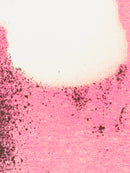 3/19 AM10:00(JST)-販売開始 グラフィックカードセット/ ピンク / 伊藤桂司