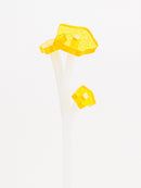 ZOKA / Kikyo / 21 / NEWSED