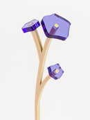 ZOKA / Kikyo / 23 / NEWSED