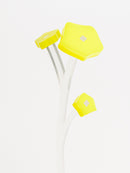 ZOKA / Kikyo / 25 / NEWSED