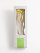 ZOKA / Kikyo / 16 / NEWSED