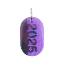 Acryl Tag Plate Year Number 2025 / 38 / NEWSED