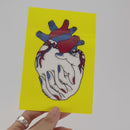 魅惑のレンチキュラーポストカードセット / C / ヤナギダマサミ