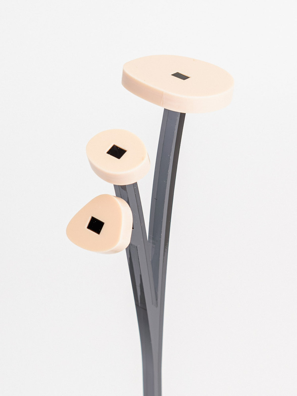ZOKA / ROUND FLOWER / 40 / NEWSED