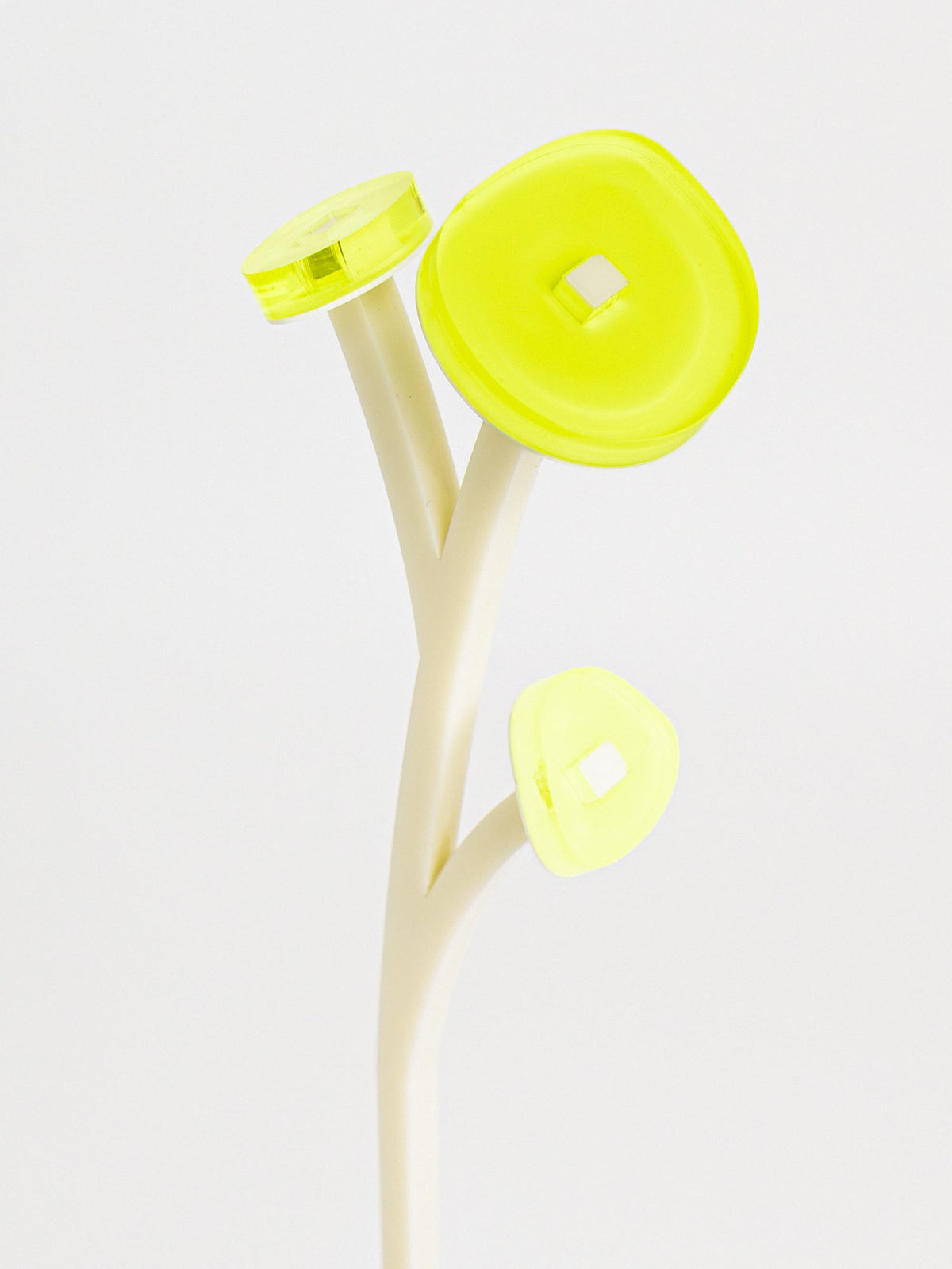ZOKA / ROUND FLOWER / 25 / NEWSED