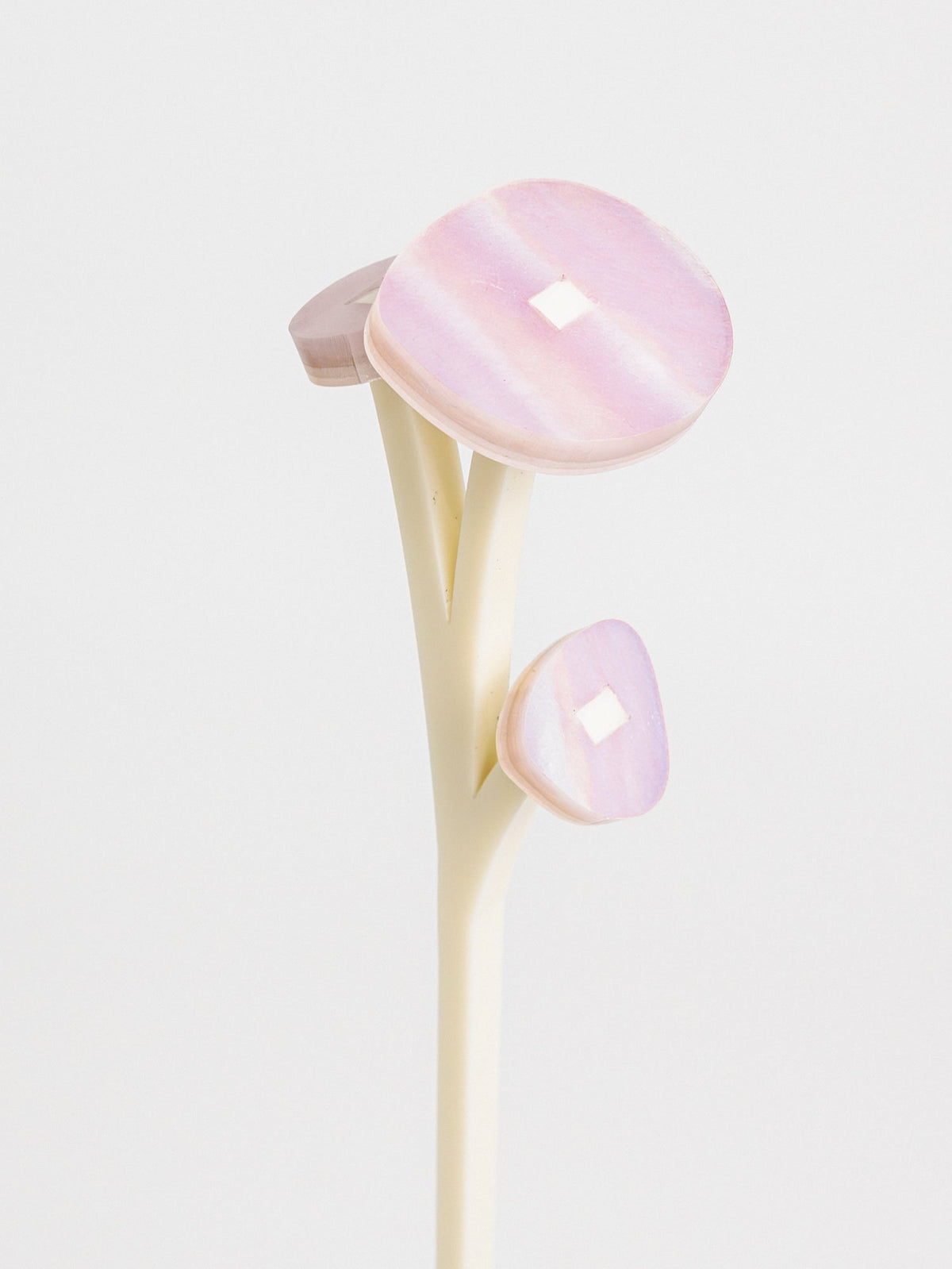 ころ花 ZOKA / ROUND FLOWER / 27 / NEWSED