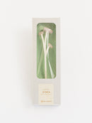 ZOKA / ROUND FLOWER / 27 / NEWSED