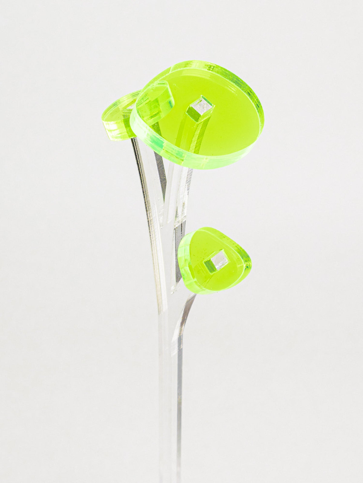 ZOKA / ROUND FLOWER / 29 / NEWSED