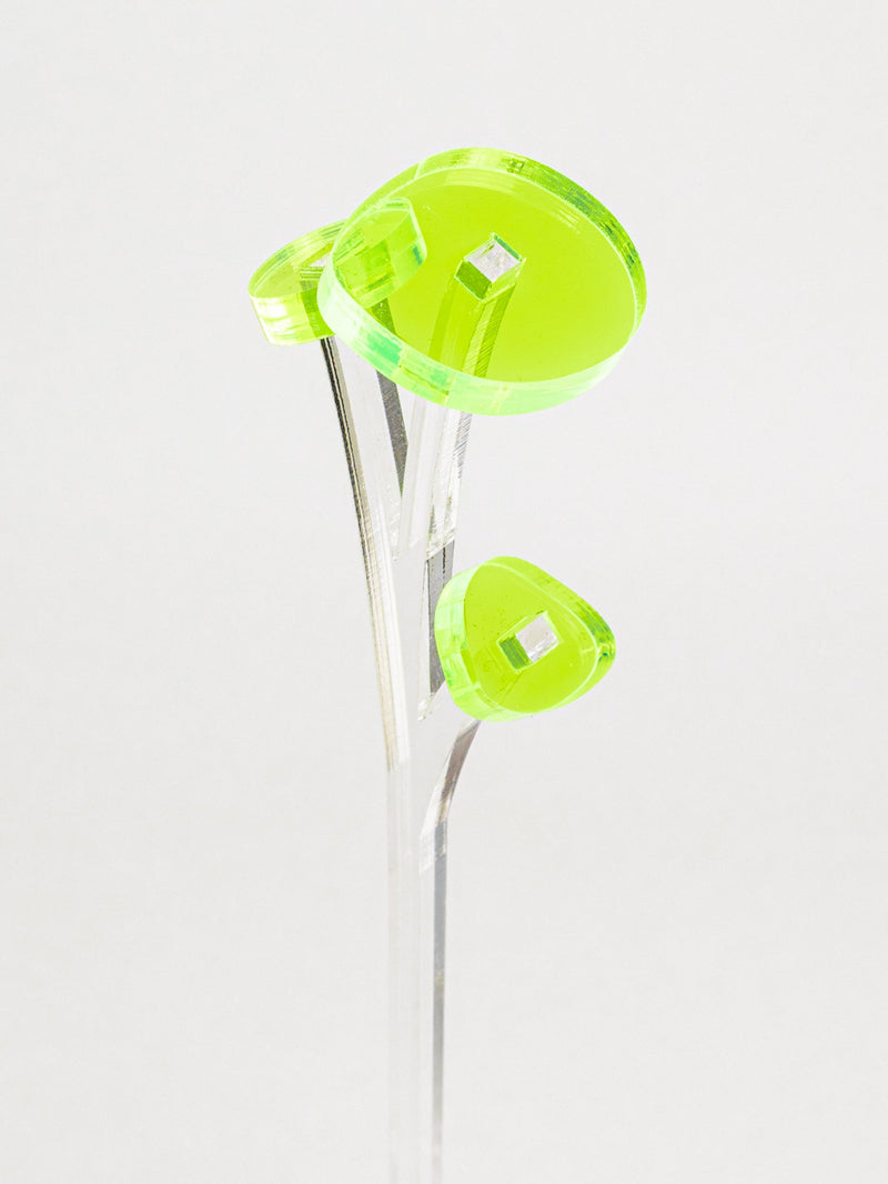 ZOKA / ROUND FLOWER / 29 / NEWSED
