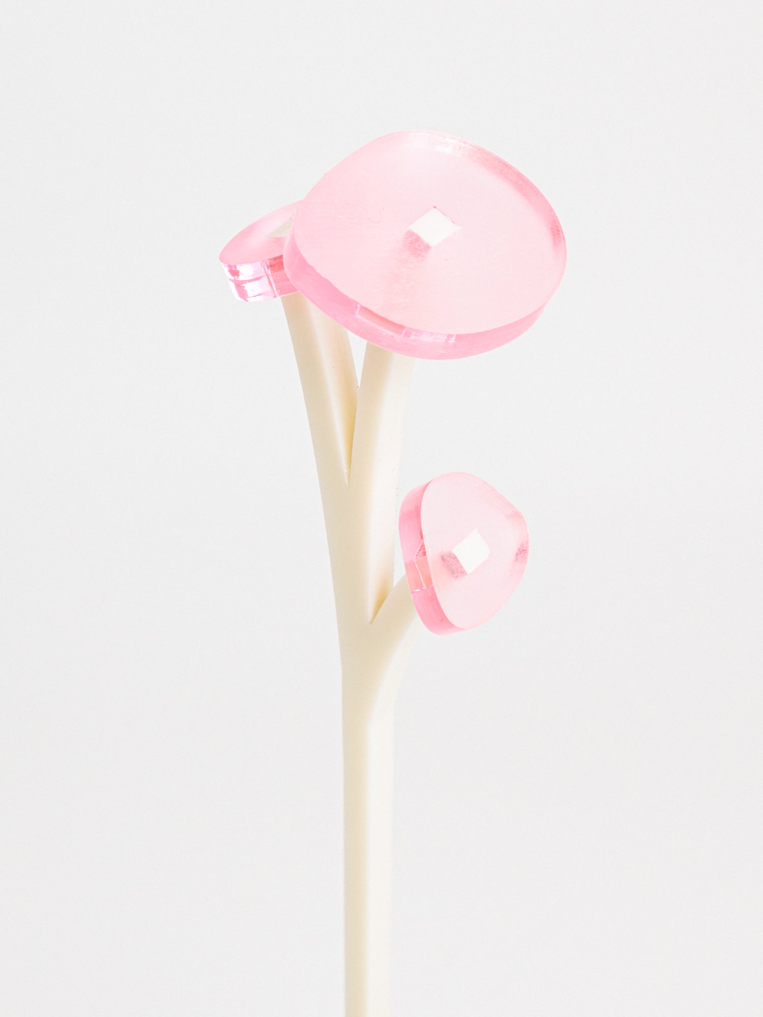 ZOKA / ROUND FLOWER / 30 / NEWSED