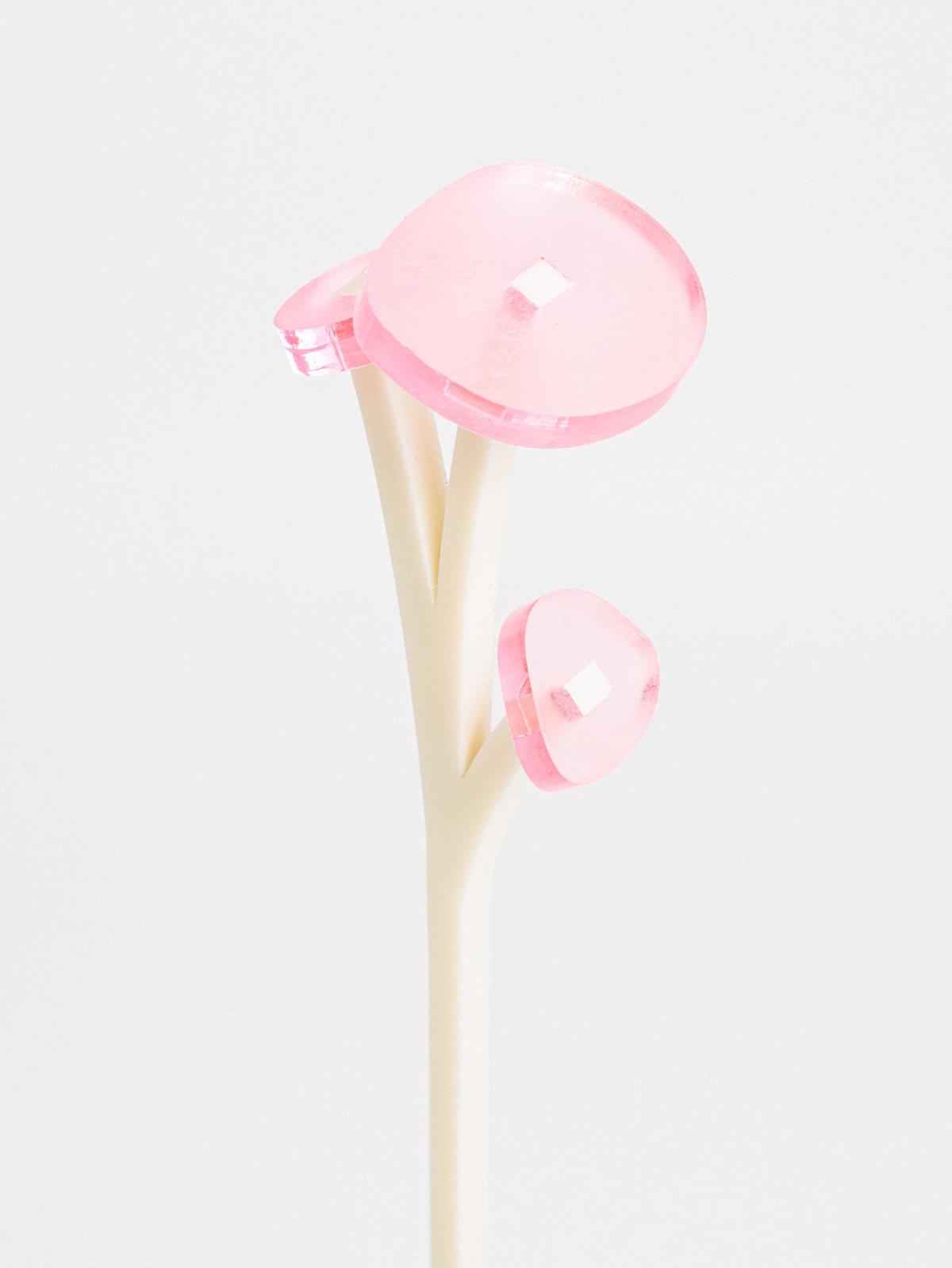 花器3点セット ZOKA / ROUND FLOWER / 30 / NEWSED