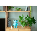 MY BEAR / 水色 / umao