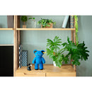 MY BEAR / 青 / umao