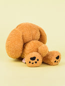 5/29 AM10:00 (JST) - Sales start Dog stuffed animal/Brown/Teraoka Natsumi