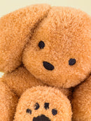 5/29 AM10:00 (JST) - Sales start Dog stuffed animal/Brown/Teraoka Natsumi