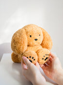 5/29 AM10:00 (JST) - Sales start Dog stuffed animal/Brown/Teraoka Natsumi