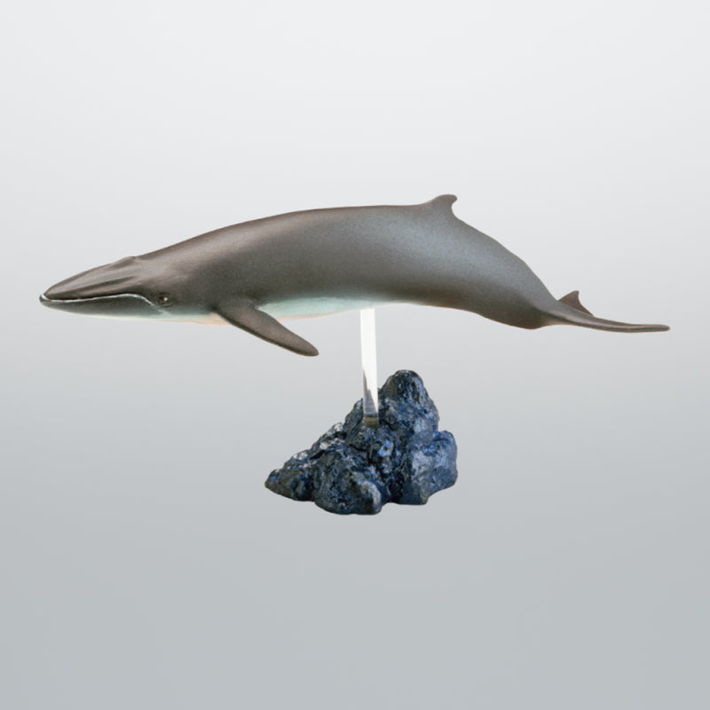 THE 高知フィギュアみやげ